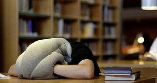 Illustration for article titled They Finally Made an Ostrich Pillow We Can't Mock